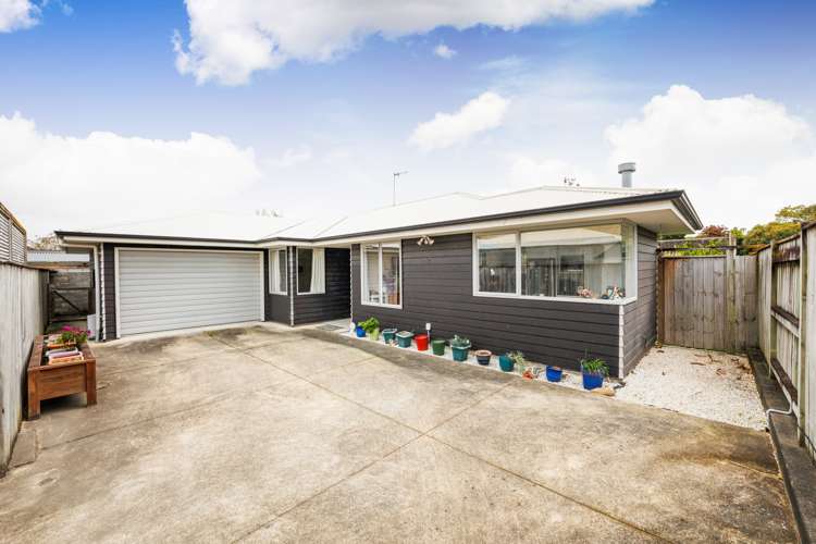 651a Featherston Street Roslyn_20