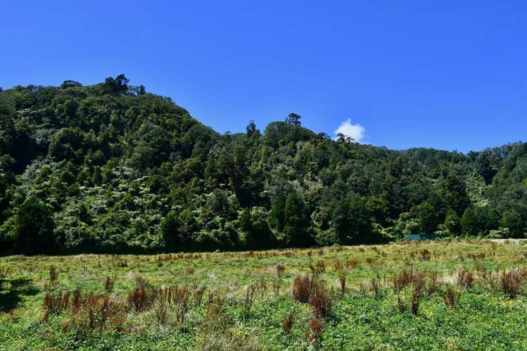 1/Lot 1 Kongahu Road Little Wanganui_15