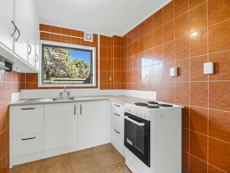 38 Fred Woodward Place Mount Roskill_15