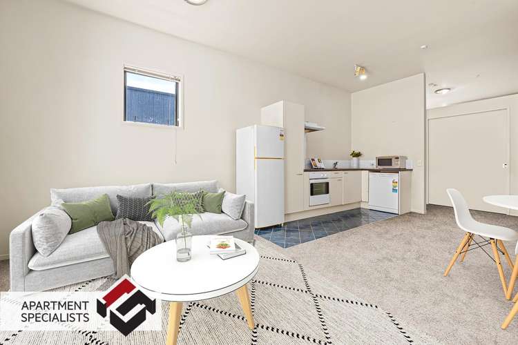 6 Burgoyne Street Grey Lynn_6