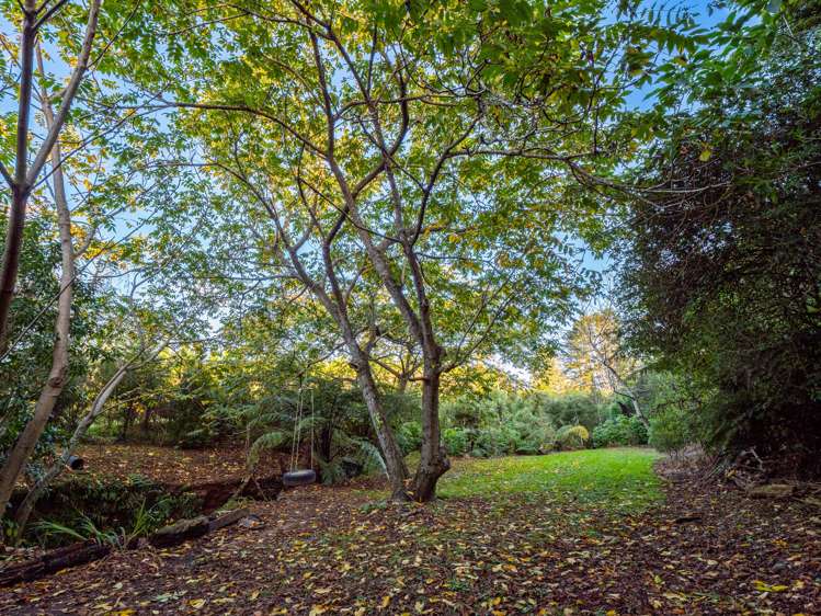 299b Whakamarama Road Whakamarama_8