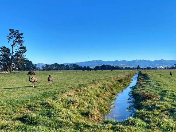 535 Perrys Road Carterton_23