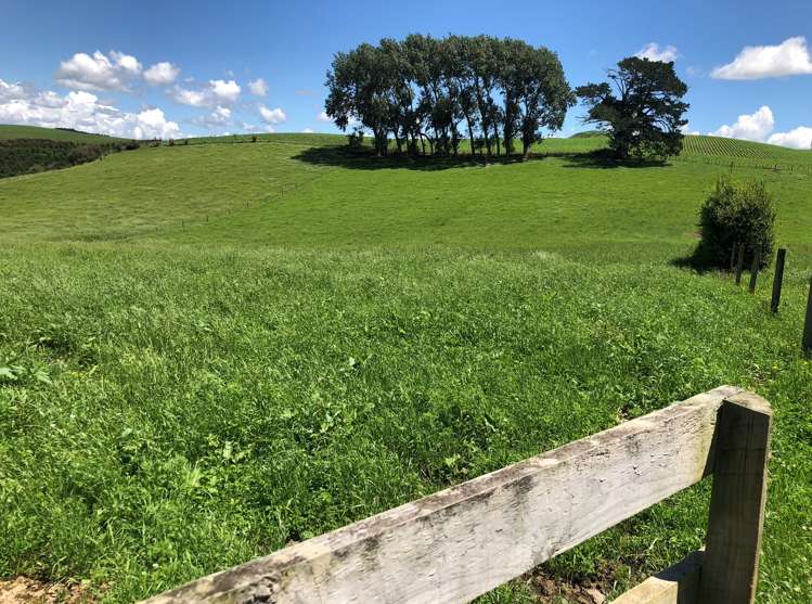 1564 State Highway 31 Kawhia Road Otorohanga_12