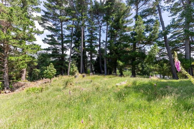 2C Kaitoke Loop Road Kaitoke_26