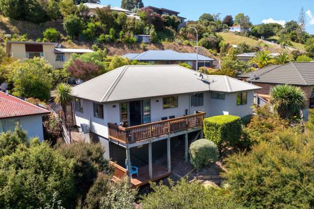 10 Valley Heights Road Stepneyville_2