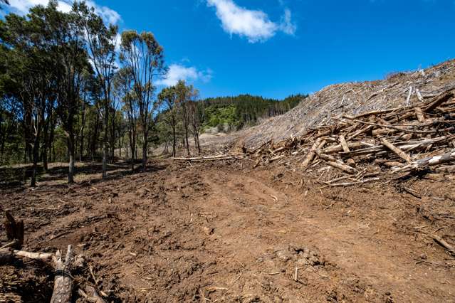 Te Rore Road Kaitaia_3