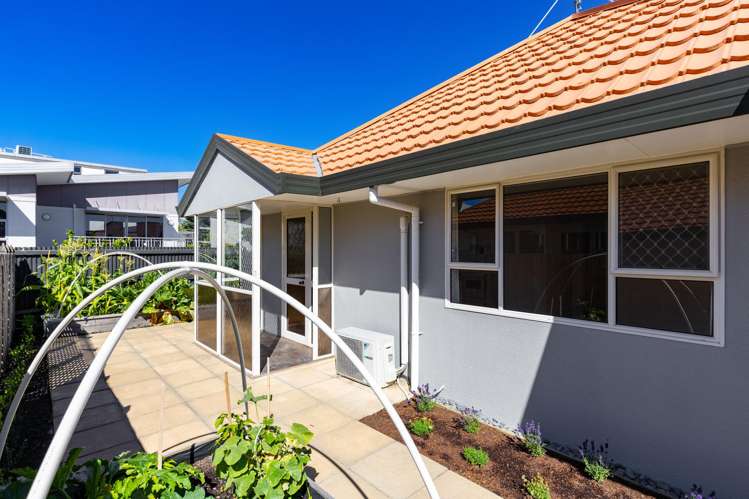 6B Seymour Street Blenheim_15