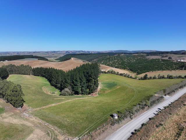 341 Table Hill Road Milton_3