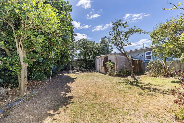 124 Apu Crescent Lyall Bay_5