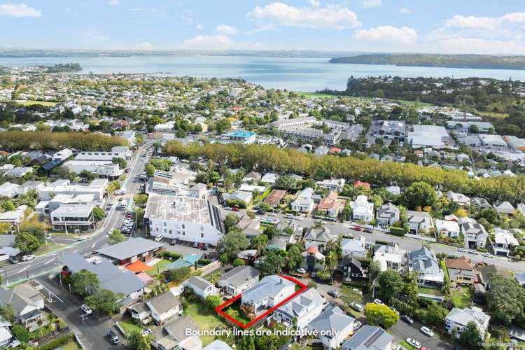 3 Allen Road Grey Lynn_15