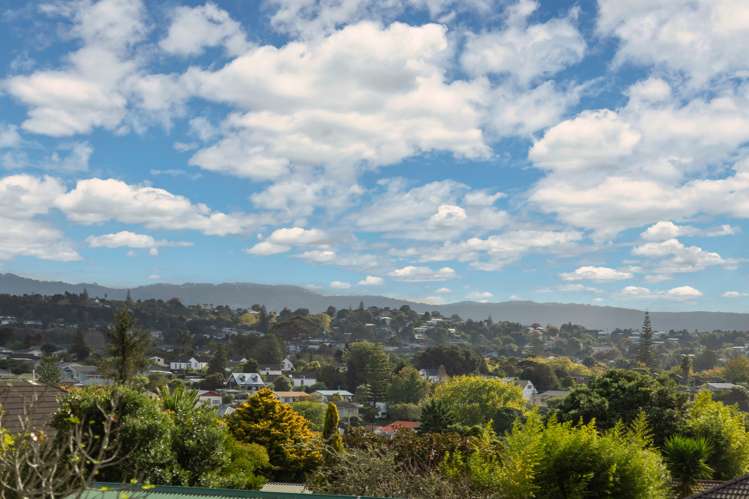 4/29 Islington Avenue New Lynn_13