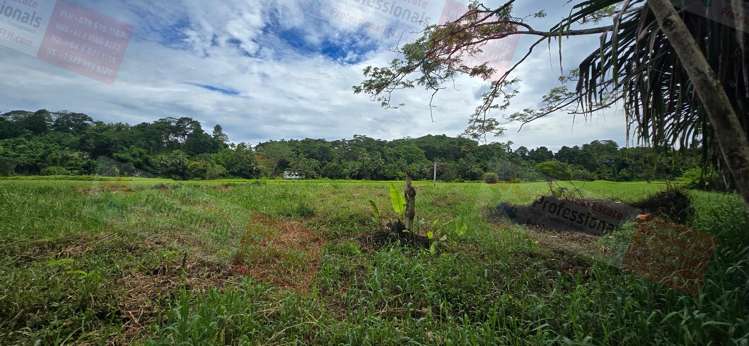 Address withheld Pacific Harbour_30