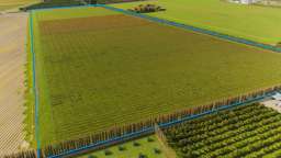 Fertile land in NZ’s horticultural centre