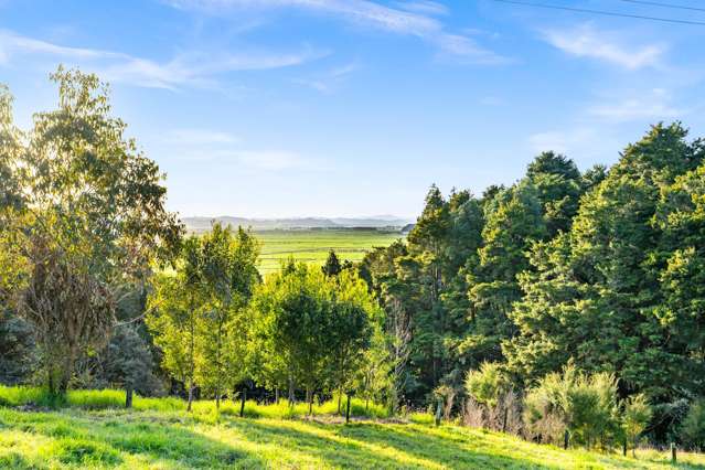 389A Crane Road Kauri_1