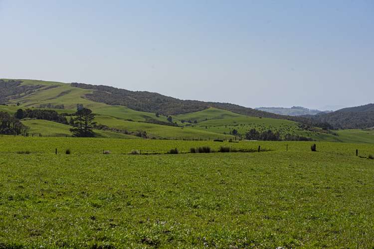 24 Foster Road Dargaville Surrounds_23