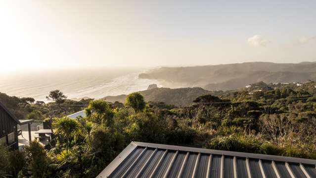 6 Log Race Road Piha_3