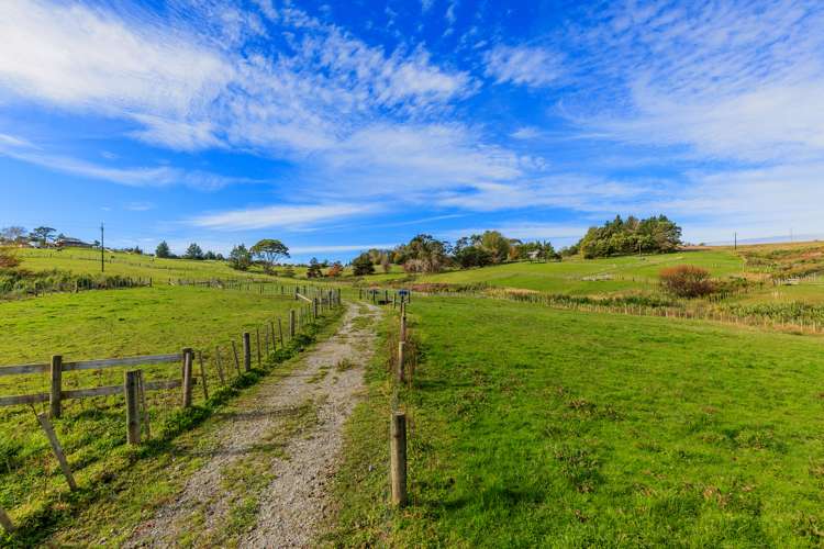 53 Follies Way Dairy Flat_16