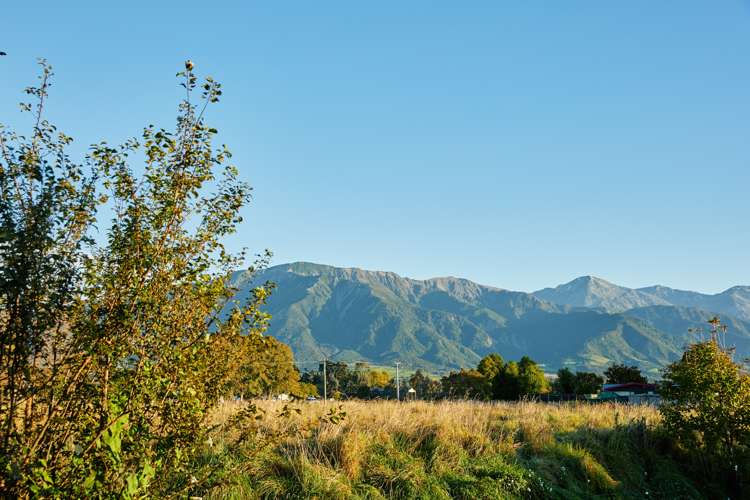 231a Beach Road Kaikoura_27