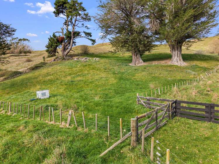 4, 127 Ongaonga Road Waipawa_6