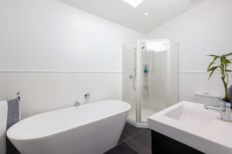 67 Devonshire Road Miramar_13