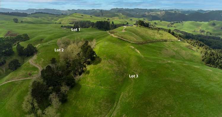 494B Dods Road Waikite Valley_18
