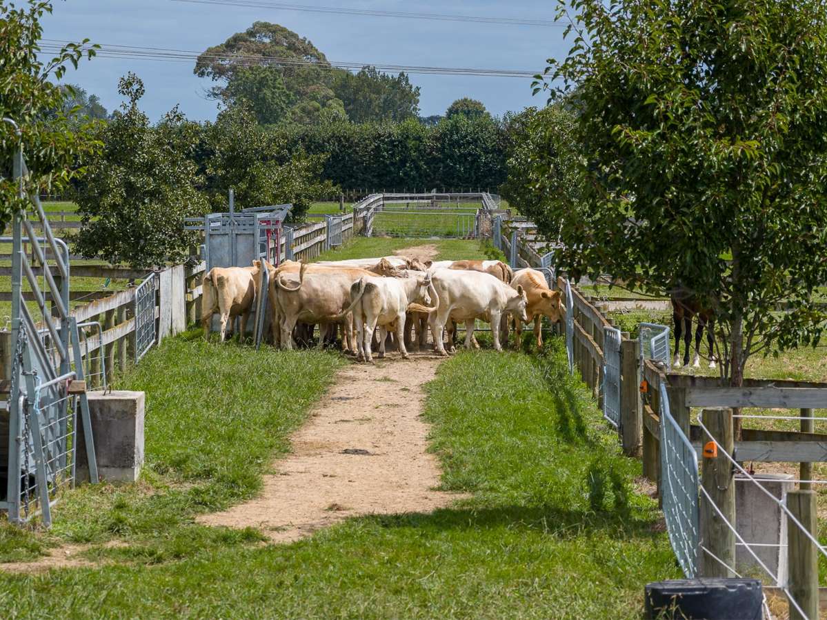 23C Broadmeadows Road_4