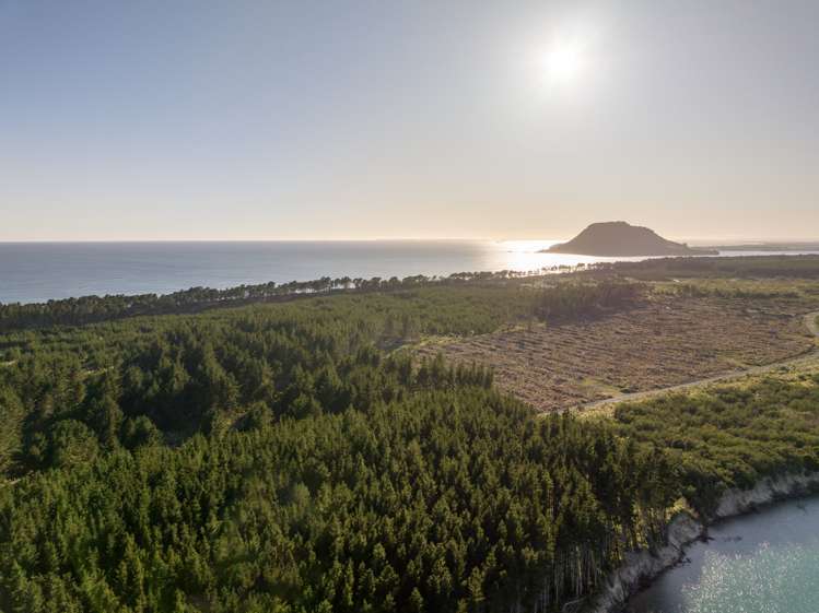 205 Matakana Island, 148 HA Matakana Island_15