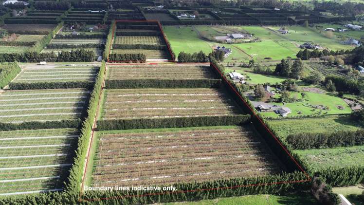 369b Kapiro Road Kerikeri_0