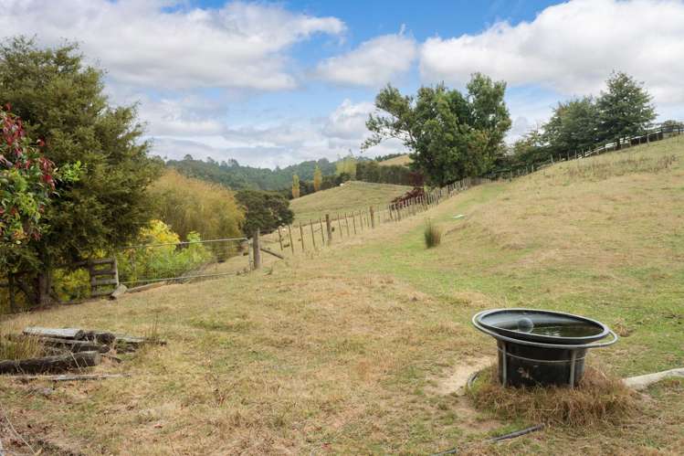 287 Quine Road Tahuna_28