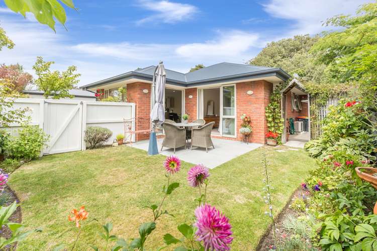 72a Studholme Street Somerfield_15