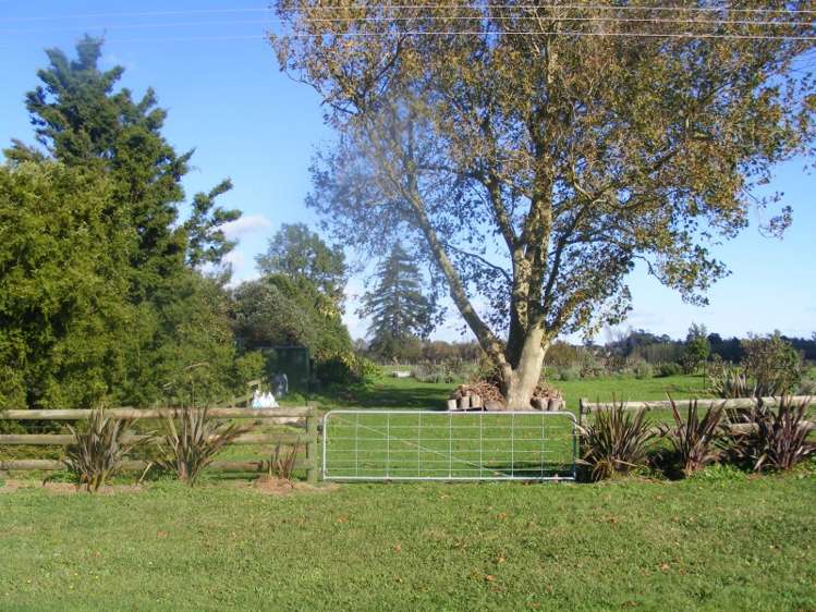 142 Armadale Road Gordon_6