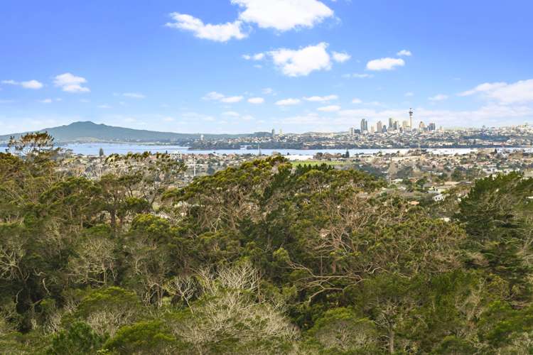 156 Candia Road Henderson Valley_1