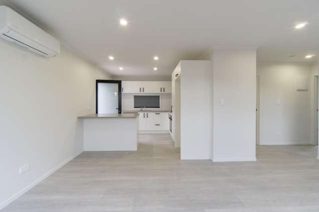 2/36 Hyde Avenue Nawton_2