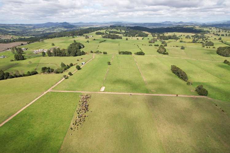 503 Puhipuhi Road Whakapara_10