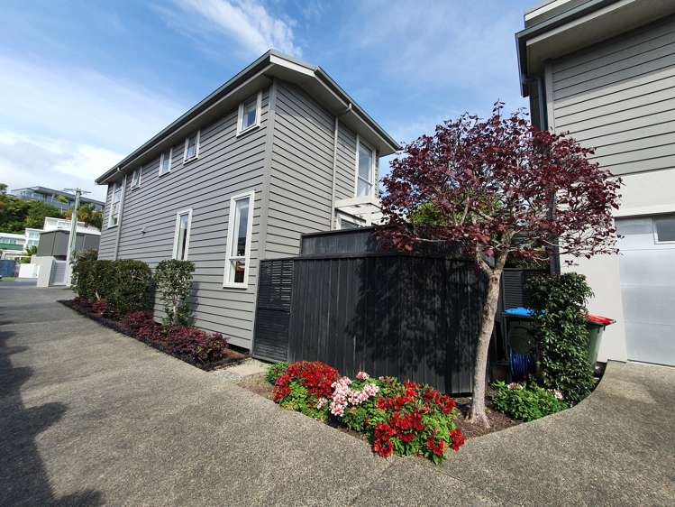 12 Melanesia Road Kohimarama_18