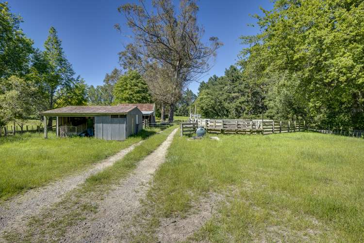 2412 Kahuranaki Road Elsthorpe_3