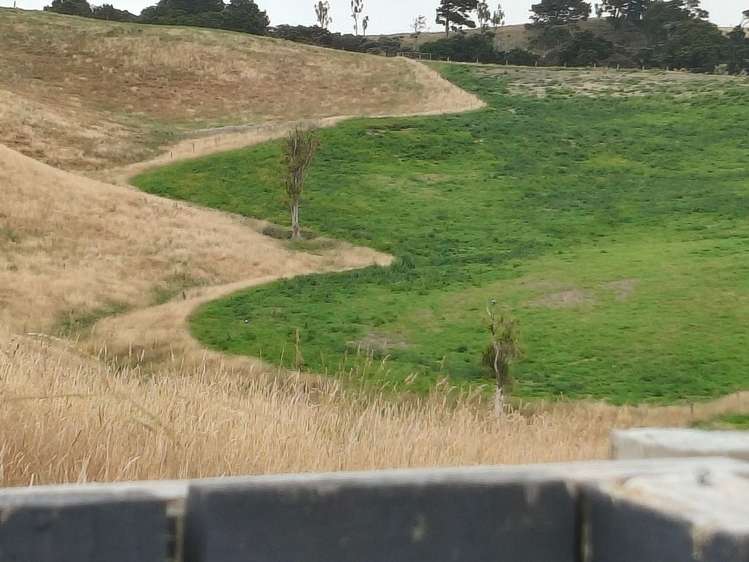 18 Kowhai Street Feilding_5