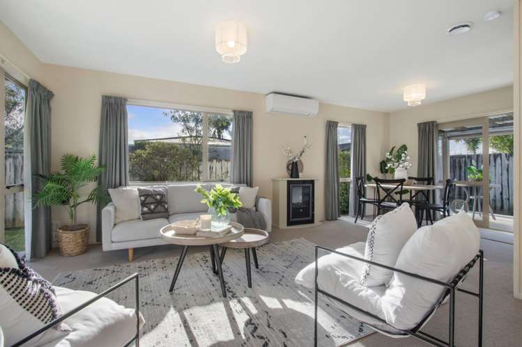 11b Gray Street Katikati_7