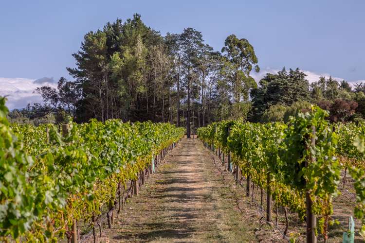 46 Waipipi Road Opaki_1