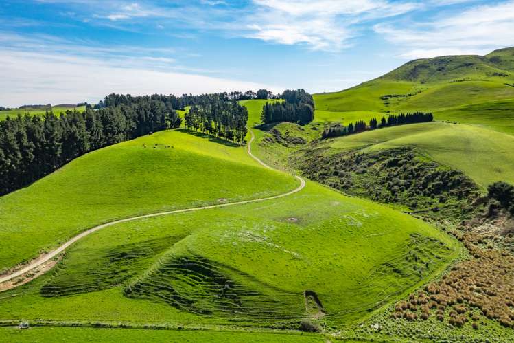 558 Leader Road West Waiau_22