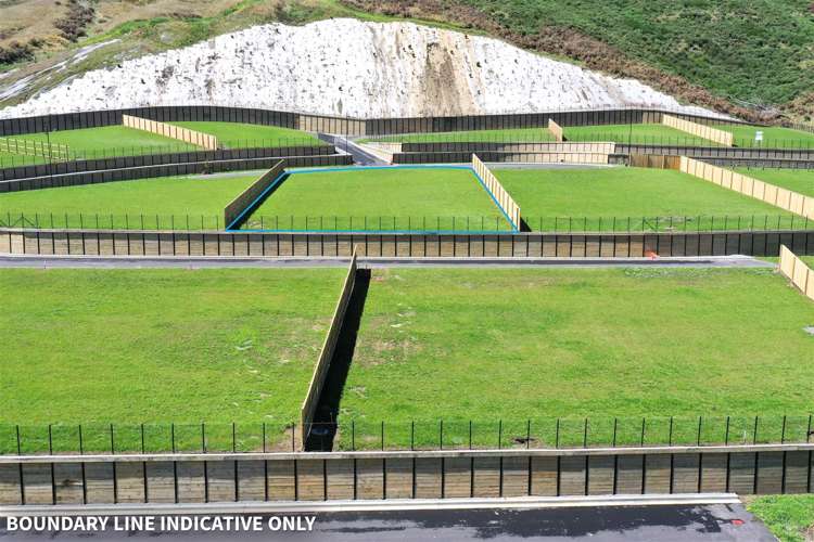 26 Carex Rise Cracroft_9