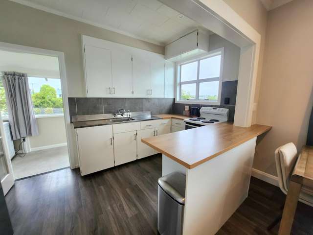 60 Upper Ure Street Oamaru_3