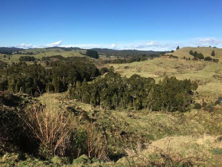 1427 Waitaanga Road Ohura_0