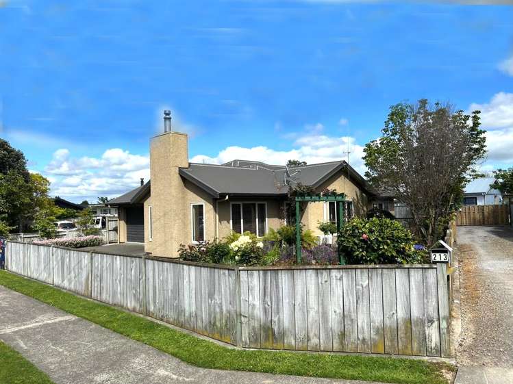 207 Salisbury Street Ashhurst_9