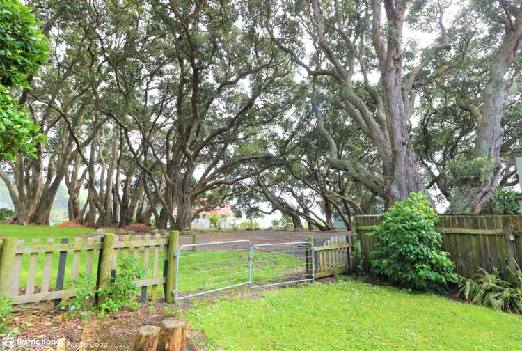 6 Fishermans Bend Whiritoa_4