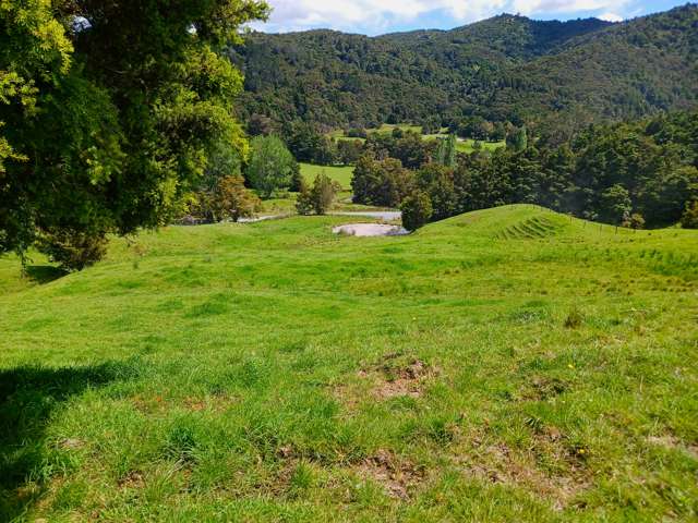 Lot 2 Otangaroa Road Kaeo_4