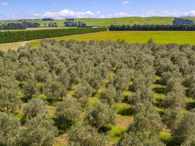 301c Te Muna Road Martinborough_2