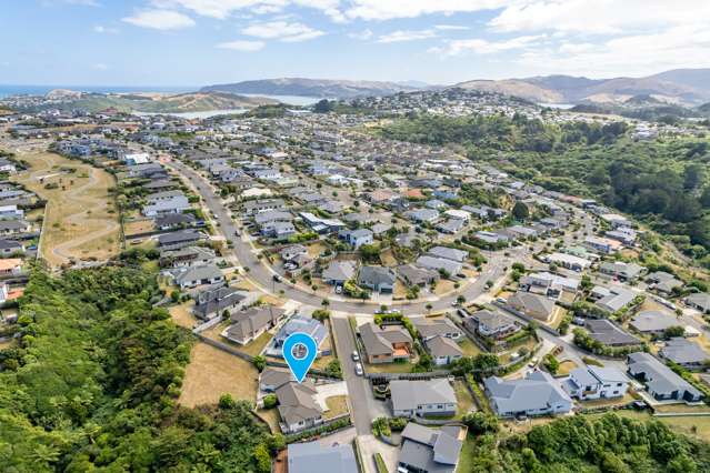 103 Te Puia Drive Aotea_2