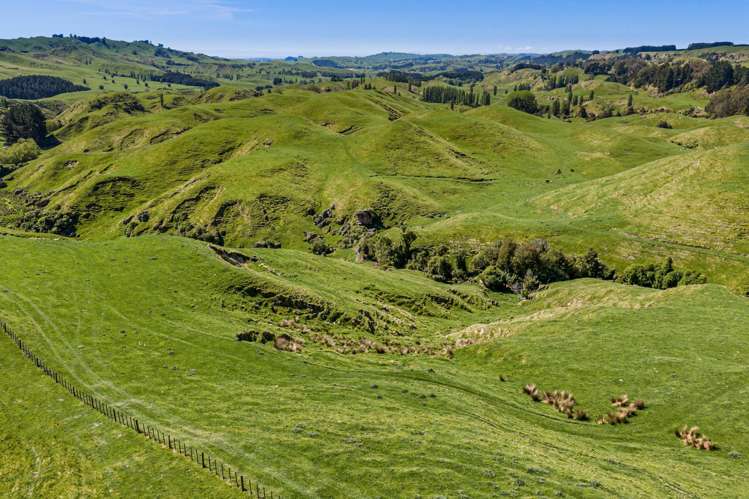 1262 - 1520 Maraetotara Road Waimarama_15