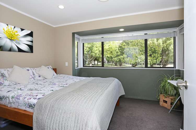 455b State Highway 1 Bulls_17